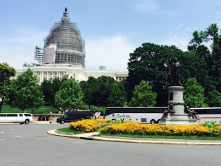 Capitol, Washington DC