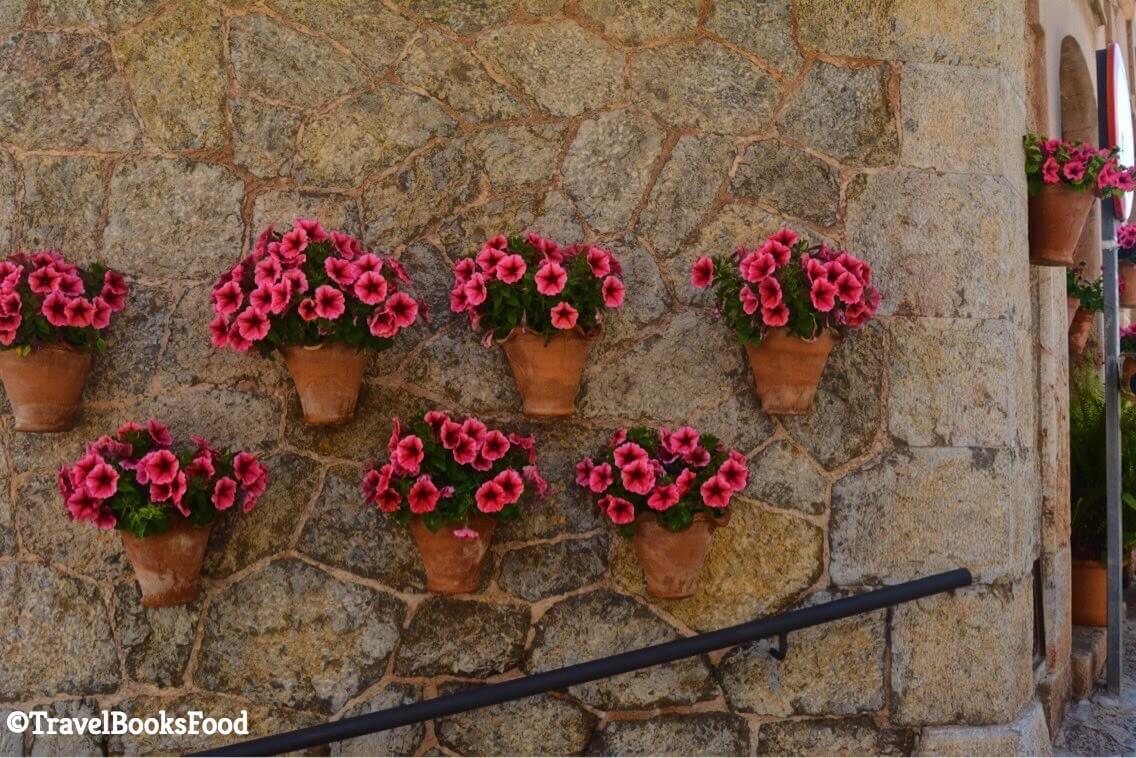 This is a photo of some flower pots on a wall in Mallorca, Spain