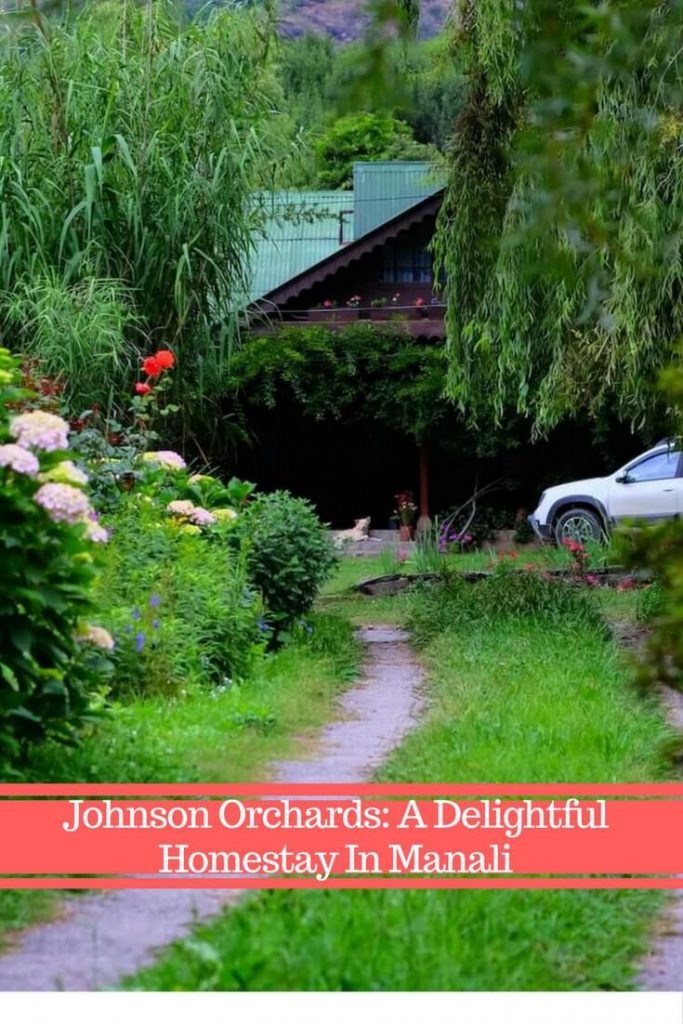  Johnson Orchards: A Delightful Homestay In Manali | During my recent trip to Himachal, India, I had a chance to stay at a charming homestay in Manali. Here I list why it is one of the best luxury cottages in Manali, India