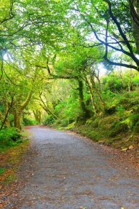 Ring Of Kerry Itinerary | Things to do in Killarney, Ireland | Where to stay on your Ring Of Kerry Drive | Driving In Ireland | Where to stay in Killarney | Killarney Itinerary | Places to see in Killarney, Ireland
