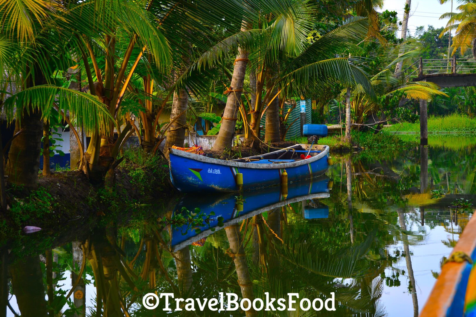 Photo of a blue fishing boat surrounded by coconut trees in Kerala, India