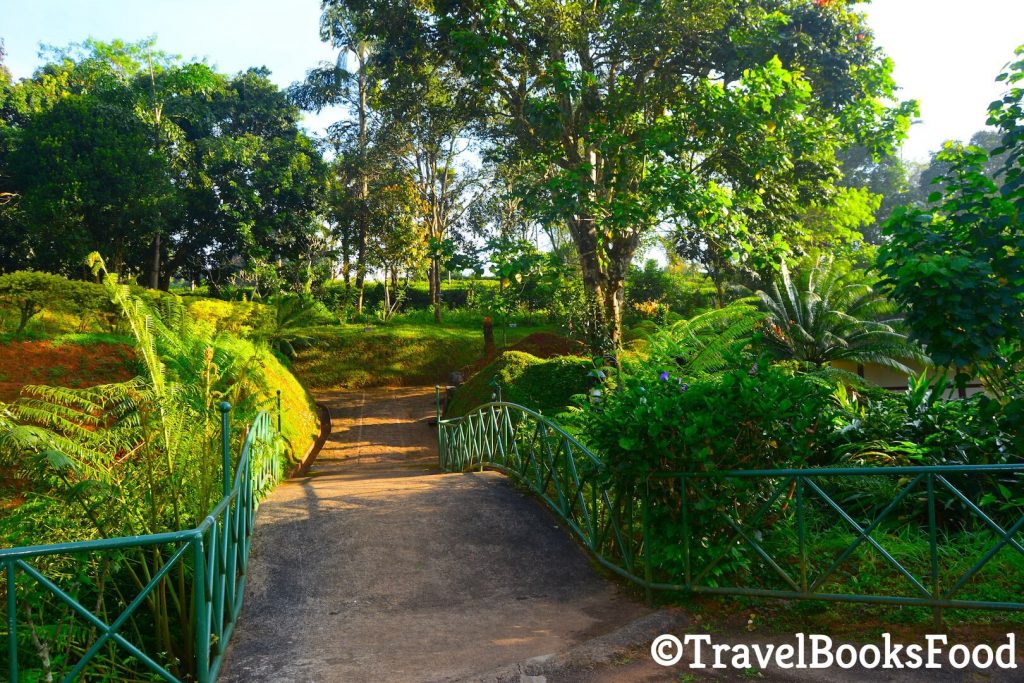 Carmelia Haven Thekkady | Carmelia Haven Resort, Thekkady | Carmelia Haven Plantation Resort | Resorts in Kerala, India | Luxury Resorts in India | Luxury Resorts in Kerala | Cardamom Plantations in India | Tea Plantations in Thekkady | Resorts in Thekkady, Kerala , India