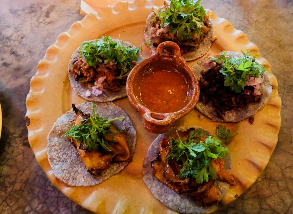 Vegetarian Food in Mexico Tacos