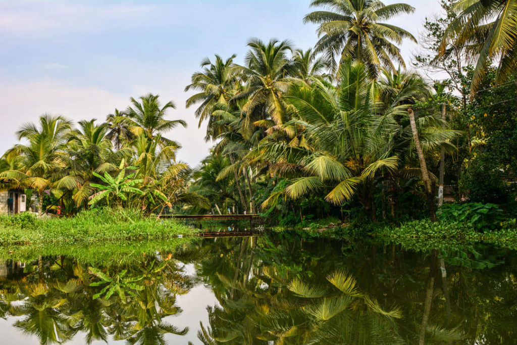Water surrounded by lots of greenery ; Kerala (Human By Nature)