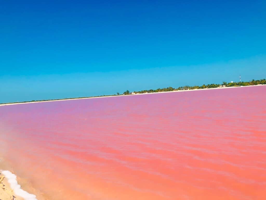 Pink lakes of Mexico