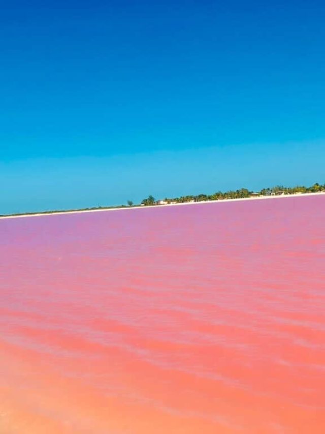 Pink lakes of Mexico