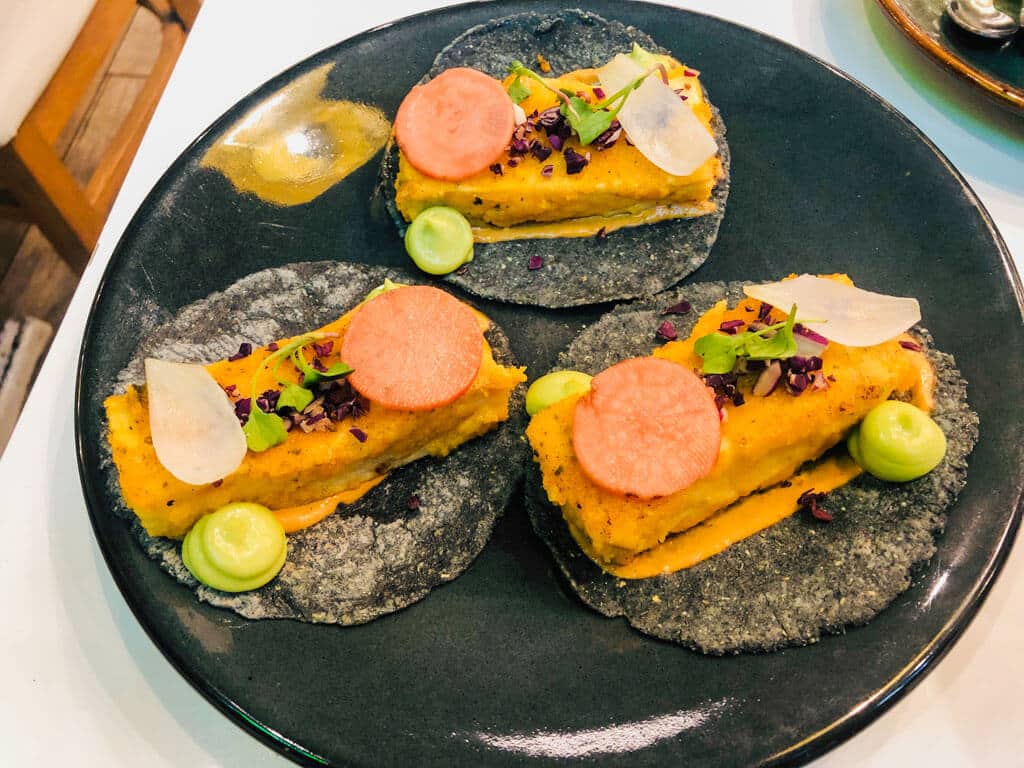 Breaded Tofu served on Blue Corn Tortillas - Vegetarians in Mexico