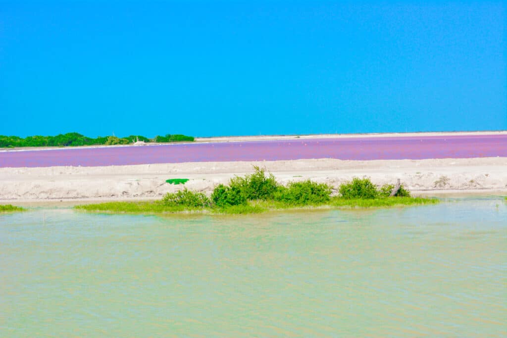 Las Coloradas, Pink lakes of Mexico: The pink lakes with blue sky