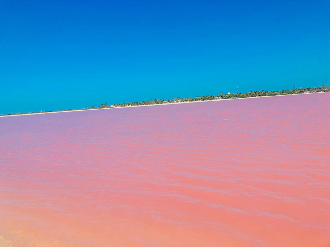Las Coloradas Pink Lakes Mexico Yucatan 9