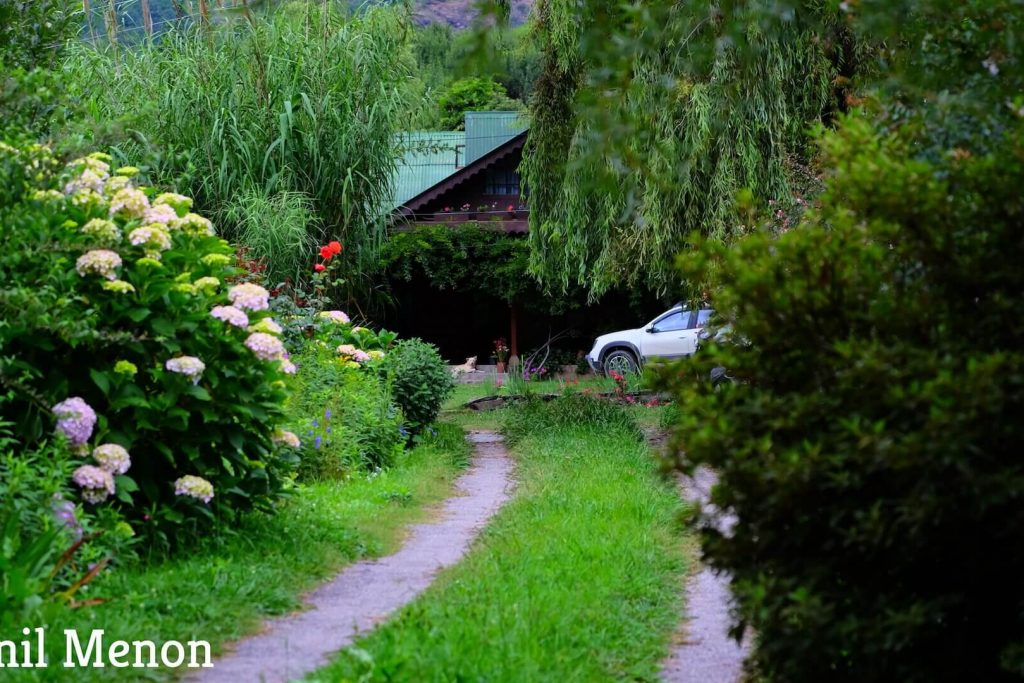 Johnson Orchards: A Delightful Homestay In Manali