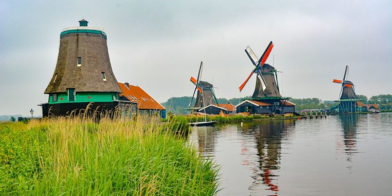A picture of the Windmills in a village near Amsterdam overlooking green marshes and pristine waters