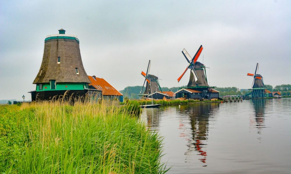 A picture of the Windmills in a village near Amsterdam overlooking green marshes and pristine waters