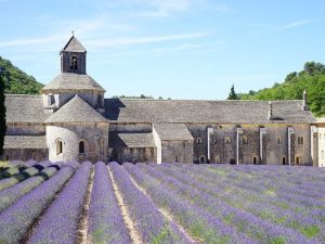 abbaye-de-senanque-1595627_640